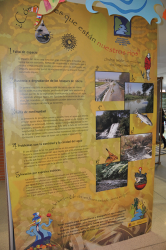 Semana Ciencias en Los Tilos